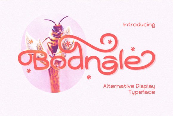 Bodnale: The Quirky Elegant Typeface for Modern Editorial Design
