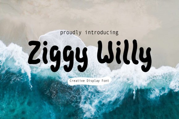 How Ziggy Willy Font Transformed My Small Business Brand Identity