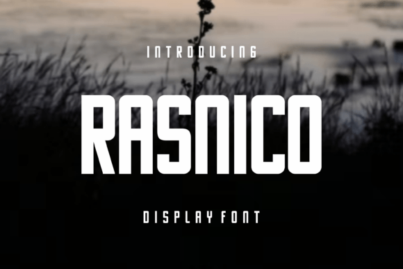 Rasnico: The Bold Display Typeface for Stronger Brand Identity